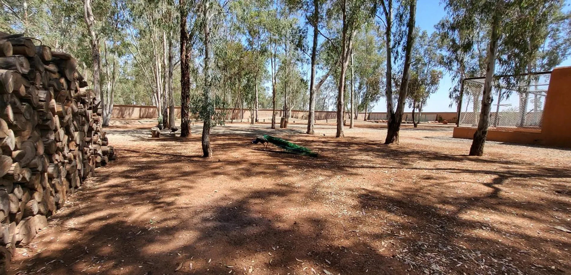Le Jardin De Jeanne Vila Marraquexe Villa